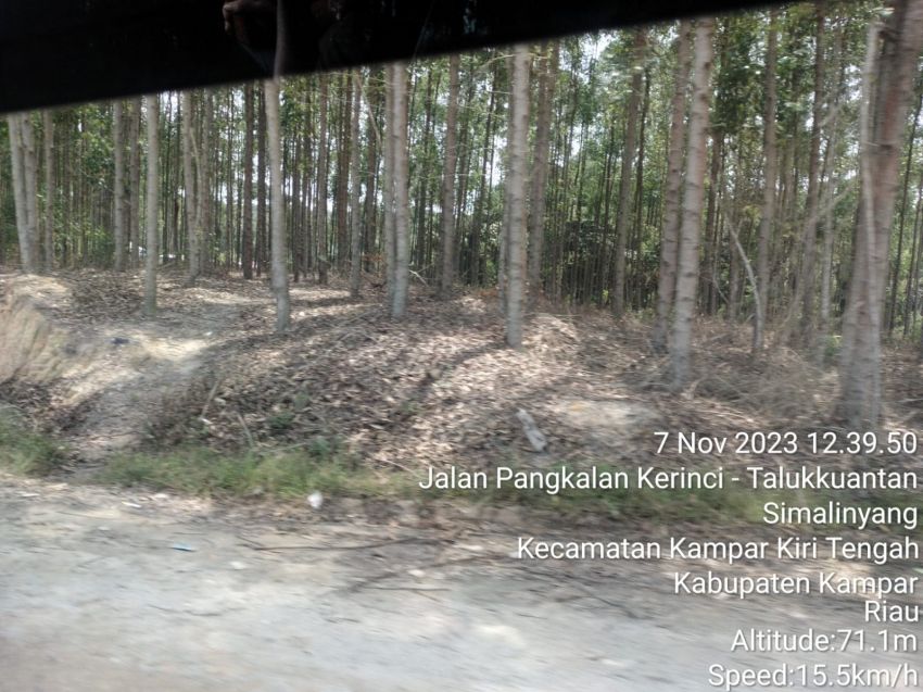 Perda Pengelolaan Hutan Belum Disahkan, PT SPR Trada Sudah Ajukan Izin Penguasaan Lahan di Tiga Kabupaten Wilayah Riau