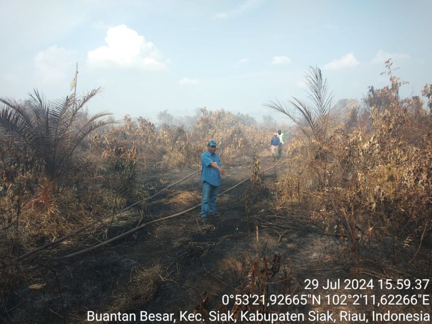 Diduga Lalai, Puluhan Hektar Lahan Terbakar, LSM Forkorindo Minta APH Proses Pemilik Lahan