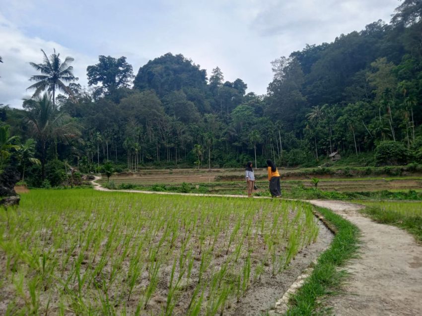 Wajib Dikunjungi, Destinasi Wisata Nagari Sisawah Harapkan Investor