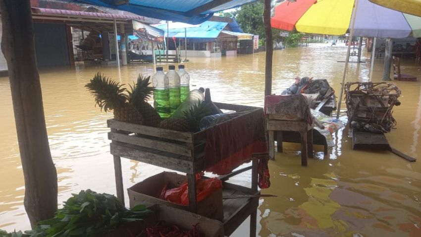 Tanggulangi Banjir, Pemprov Riau Minta Bantuan Logistik dan Peralatan ke Pemerintah Pusat