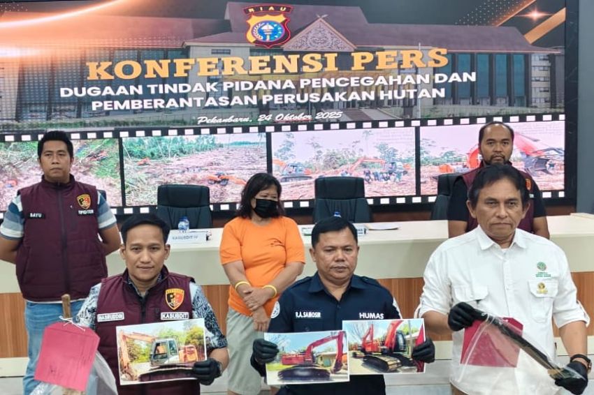 Polda Riau Bersama BBKSDA Riau Tangkap Pelaku Perambah 13 Hektar Hutan Cagar Biosfer GSK