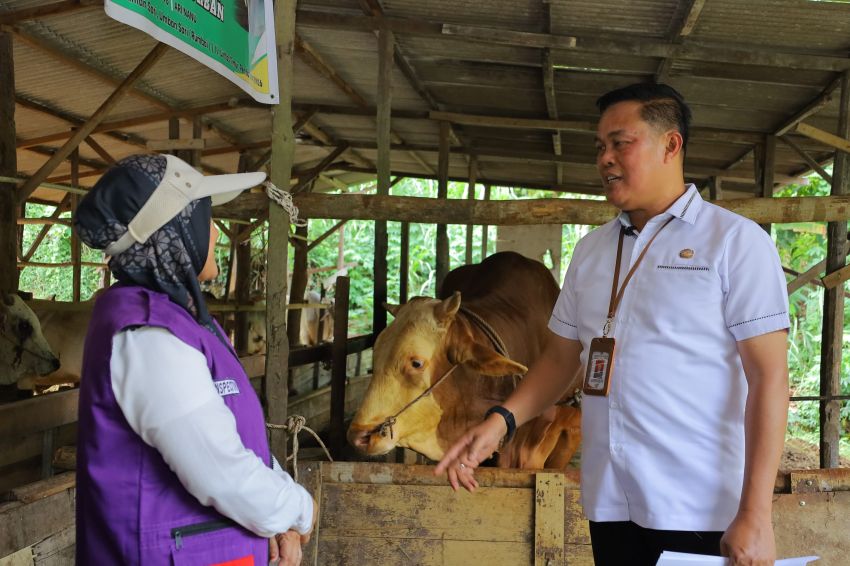 Jelang Idul Adha 1447 H, Distankan Kota Pekanbaru Intensif Lakukan Pemeriksaan Kesehatan Hewan